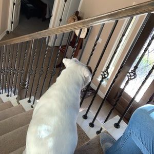 Meet your Posher, Sylvia